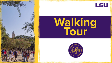 Video Walking Tour