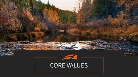 Core Values for Employee Orientation