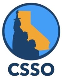 Clear 2 Csso 234X300